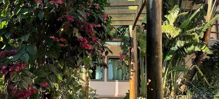 海岸微风酒店(Brisa da Costa Suites)图片