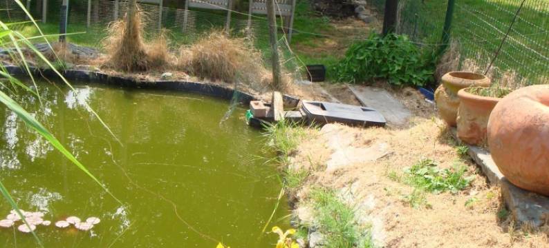 伊尔科里克酒店(Elckerlyck Inn Hotel)图片