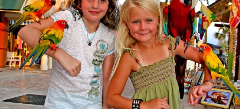 德斯廷温德姆翡翠格兰德酒店(Club Wyndham Emerald Grande at Destin)图片