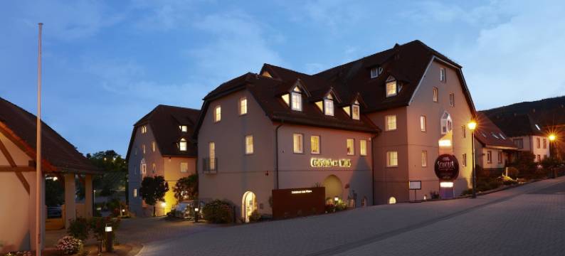 文思领事馆酒店(Consulat des Weins)图片