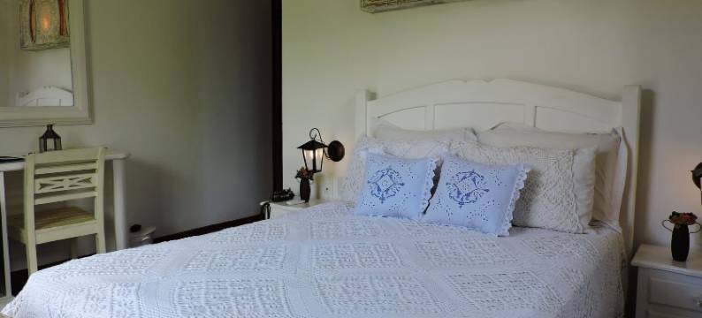 阿劳若巴齐利奥蒂尔登特斯膳宿公寓(Pousada Araujo Bazilio)图片