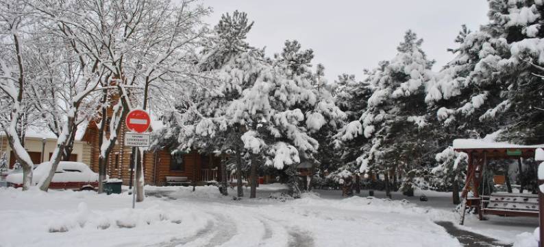 埃尔基派启奥塔卡综合酒店(Kompleks Otdykha Elki-Palki)图片