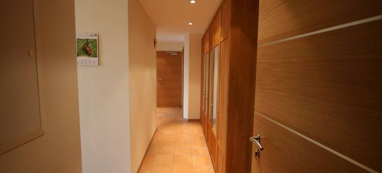 提特斯彻公寓(Aparthotel Tritscher)图片