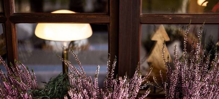 Zum See酒店(Hotel Zum See, Titisee)图片