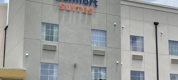 查尔斯湖舒适套房酒店(Comfort Suites Lake Charles)图片