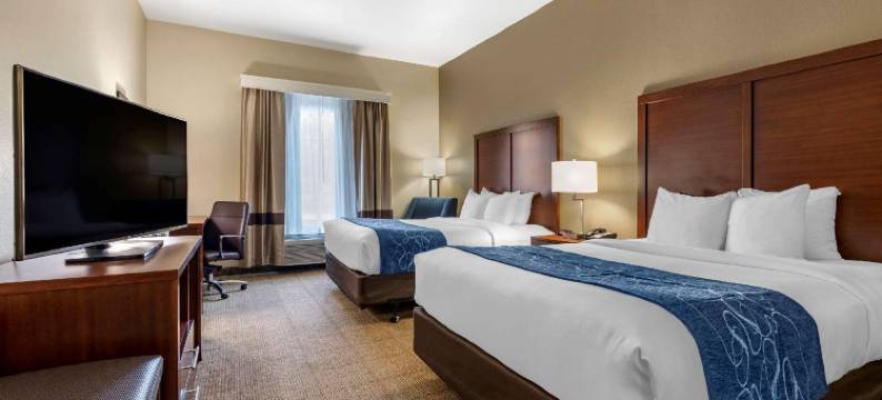 派瑞斯舒适酒店(Comfort Inn & Suites Paris)图片