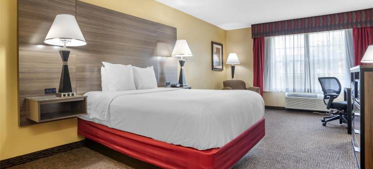 贝塞麦贝斯特韦斯特优质套房酒店(Best Western Plus Bessemer Hotel  Suites)图片