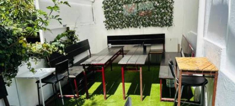 猫头鹰旅馆里贝罗(Owls Hostel Ribeiro)图片