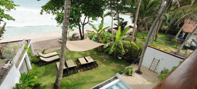 Parasol Doré = 金色阳伞(Parasol doré)图片