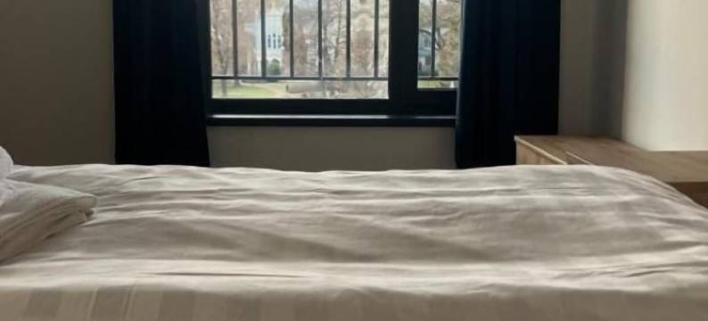 路德维希酒店(Ludwig Hotel)图片