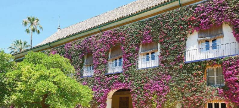 西蒙酒店(Hotel Simon)图片