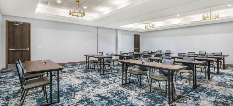 坦帕布兰登坎布里亚酒店(Cambria Hotel Tampa-Brandon)图片