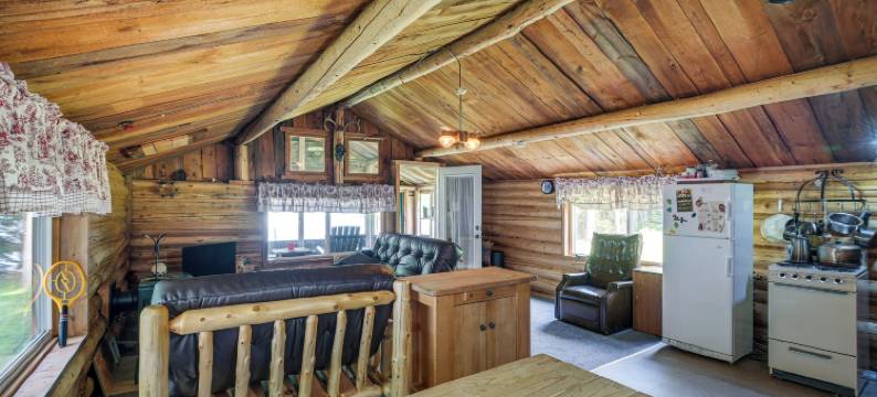 平静湖边小木屋度假：码头，火坑！(Peaceful Lakefront Cabin Getaway Dock, Fire Pit!)图片