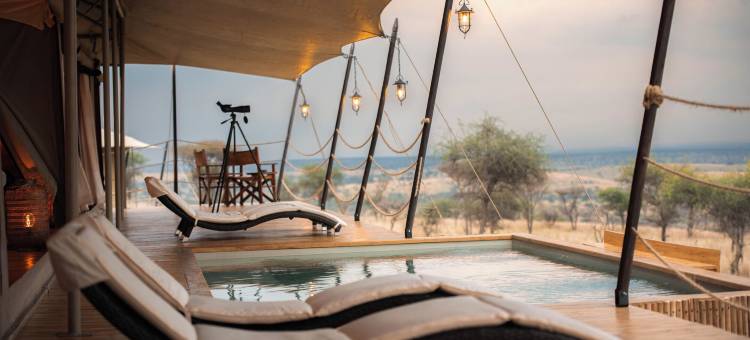 塞伦盖蒂豪华度假村(Serengeti Luxury Retreat)图片