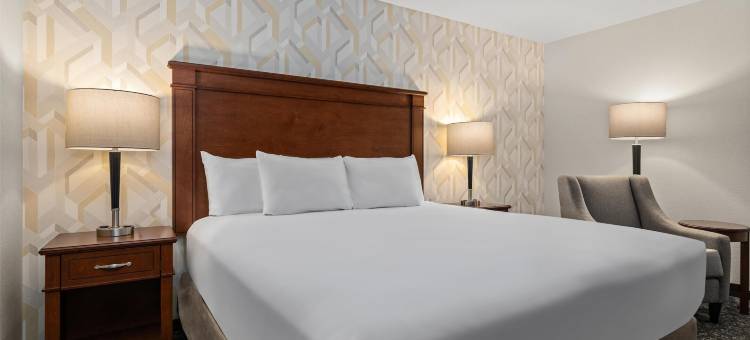 圣路易斯克雷夫科尔德鲁里套房酒店(Drury Plaza Hotel St Louis Creve Coeur)图片