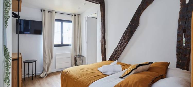 Apartment AC 2 Bedrooms Le Marais Beaubourg图片