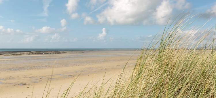 Saint-Germain Beach Bliss图片