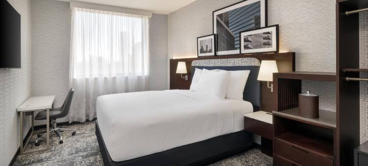 纽约长岛市希尔顿逸林酒店(DoubleTree by Hilton Long Island City New York)图片