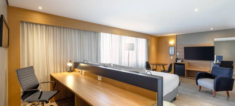 安海比公园假日酒店(Holiday Inn Parque Anhembi)图片