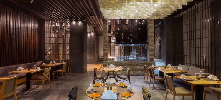 齐普尔市中心假日酒店(Holiday Inn JAIPUR CITY CENTRE by IHG)图片
