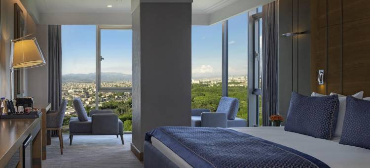 瑞享温泉水疗酒店(Mövenpick Bursa Hotel and Thermal Spa)图片