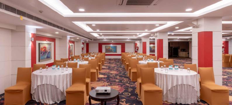 帕特里普特拉大陆酒店(Hotel Patliputra Continental)图片