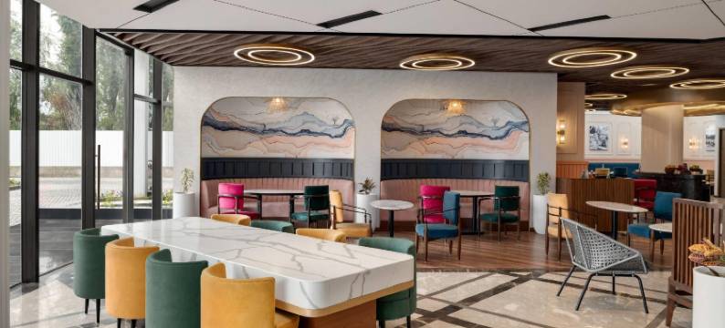 温德姆华美达安可拉杰巴格斯里纳格酒店(Ramada Encore by Wyndham Rajbagh Srinagar)图片