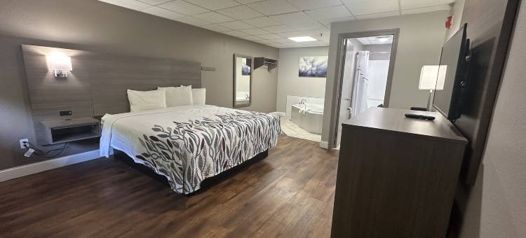 红屋顶旅馆及套房斯旺西(Red Roof Inn & Suites Swansea)图片