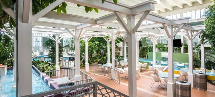 Oasis Hotel & Conv. Center, Ascend Hotel Collection图片