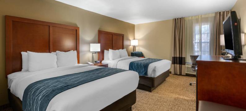 奥卡拉-银泉舒适酒店(Comfort Inn Ocala Silver Springs)图片