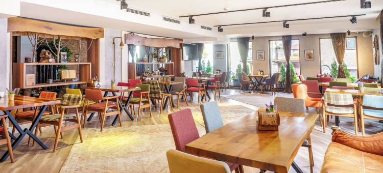 保加利亚健康酒店(Wellness Hotel Bulgaria)图片