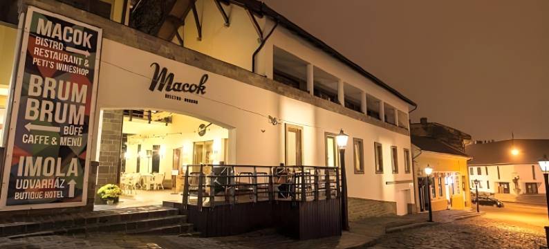 伊莫拉乌德法尔哈兹酒店(Imola Udvarház Dessert Hotel)图片