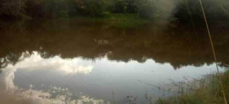 伊图的天堂小庄园(Chácara pedacinho do céu Itu)图片