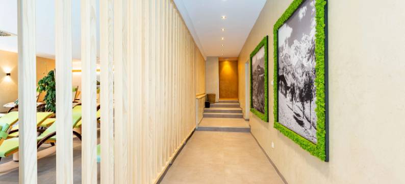 Parkhotel Maximilian Resort & SPA图片