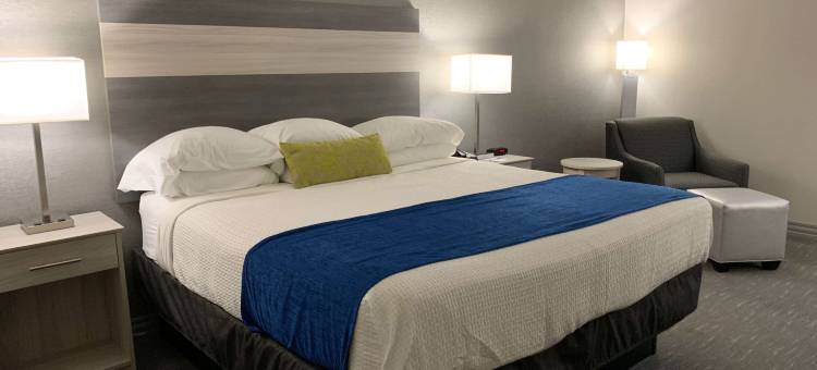 斯克兰顿克拉克斯萨米特贝斯特韦斯特优质酒店(Best Western Plus Clarks Summit Scranton)图片