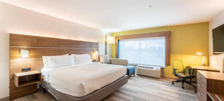 洲际酒店集团智选假日酒店及套房纳什维尔北 - 斯普林菲尔德(Holiday Inn Express & Suites Nashville North - Springfield by IHG)图片