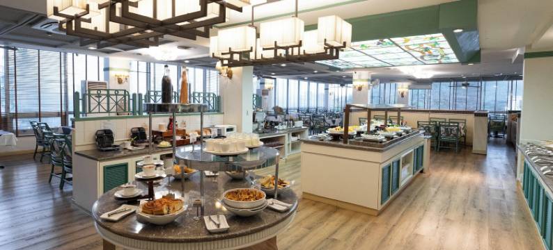 帕拉西亚酒店(Palasia Hotel)图片