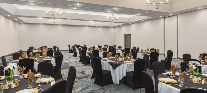 奥克维尔中心假日酒店(Holiday Inn OAKVILLE (CENTRE) by IHG)图片