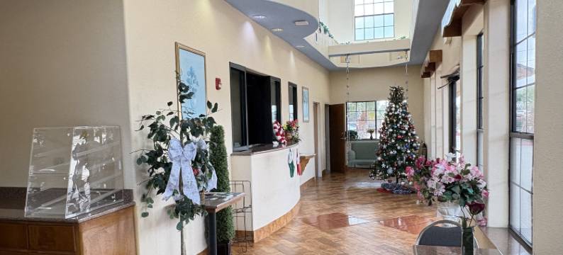 亨博尔丽晶套房酒店(Regency Inn & Suites by Capital O Houston IAH Airport)图片