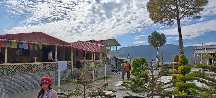 查尔高地酒店及度假村(The Chail Heights Hotel and Resort)图片