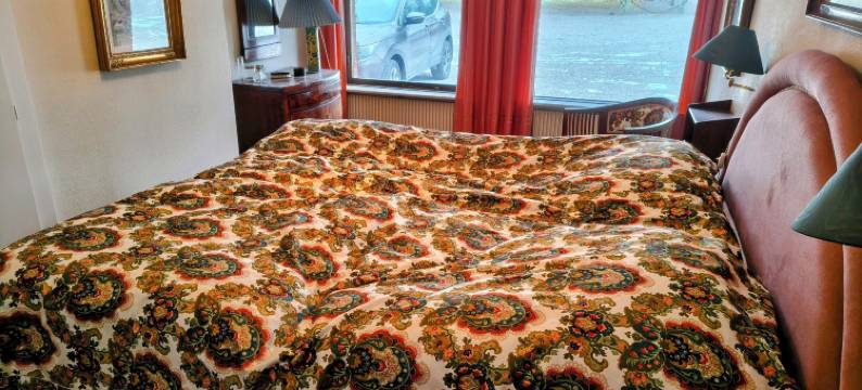 Sæbygaard宾馆(Sæbygaard Guesthouse)图片