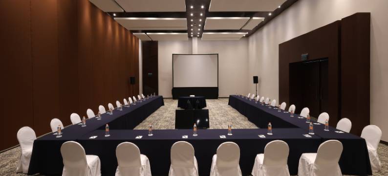 韦拉克鲁斯-博卡德尔里奥假日酒店(Holiday Inn VERACRUZ BOCA DEL RIO by IHG)图片