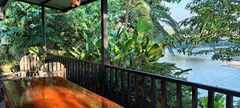 香蕉山林小屋(Banana Lodge)图片