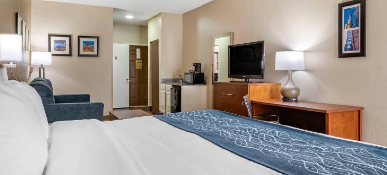 伯明翰-艾昂戴尔舒适酒店(Comfort Inn Birmingham - Irondale)图片