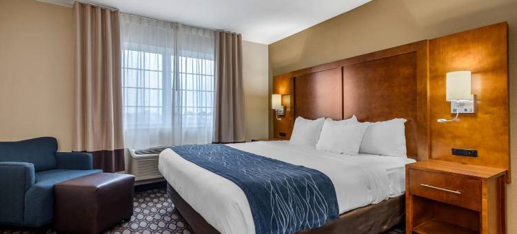斯托里城舒适酒店 - I-35 艾姆斯附近(Comfort Inn Story City - I-35 Near Ames)图片