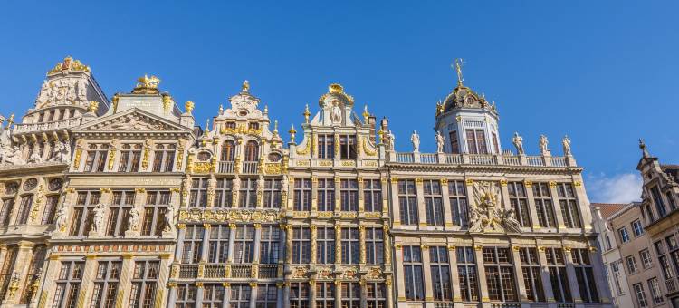 希尔顿花园酒店布鲁塞尔机场(Hilton Garden Inn Brussels Airport)图片
