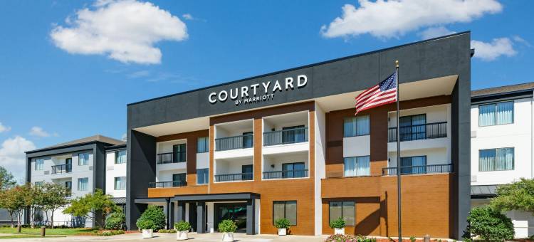 达拉斯路易斯维尔万怡酒店(Courtyard Dallas Lewisville)图片