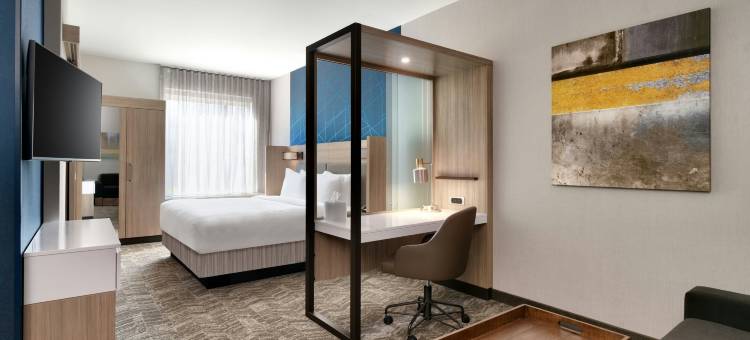 凤凰城斯科茨代尔SpringHill Suites酒店(SpringHill Suites Phoenix Scottsdale)图片