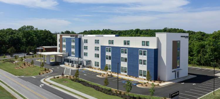 Springhill Suites By Marriott 亚特兰大科文顿(SpringHill Suites by Marriott Atlanta Covington)图片