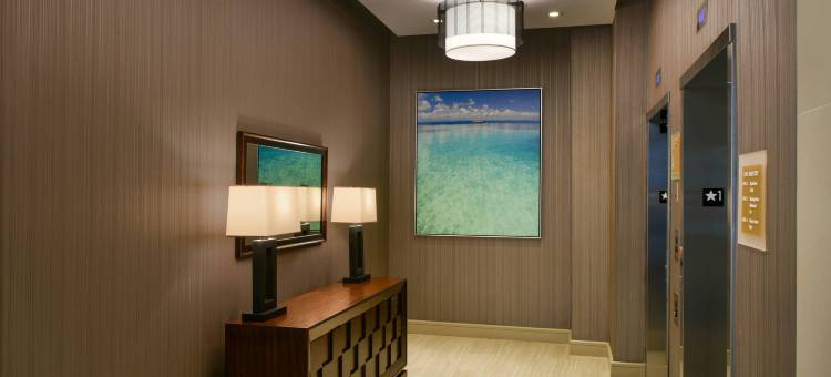 科勒尔盖布尔斯福朋喜来登酒店(Four Points by Sheraton Coral Gables)图片